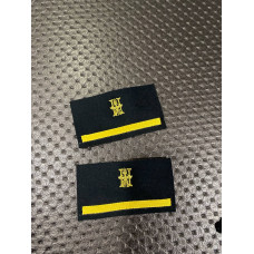 PAR DE DIVISAS DE COSER DE GALA DE QUADRO DE HONRA