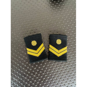 PAR DE PASSADORES BORDADO COM TURBINA