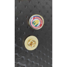 PIN REDONDO INCÊNDIOS FLORESTAIS