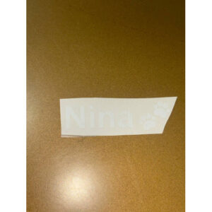 NOME AUTOCOLANTE PARA CÃO/CADELA