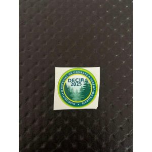 AUTOCOLANTE DECIR 2025 (PEQUENO)
