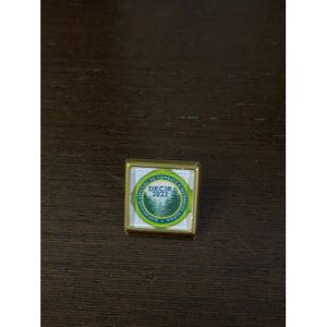 PIN QUADRADO DECIR 2022